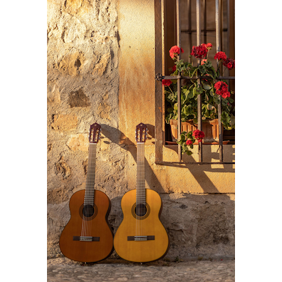 CGX122MC and CGX122MS guitar side by side leaning on a rejas with potted flowers