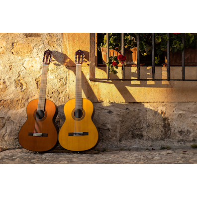 CGX122MC and CGX122MS guitar side by side against a stone wall right of a rejas with potted flowers