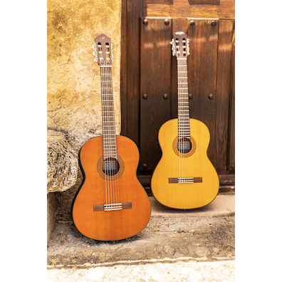 CGX122MC and CGX122MS guitar near each other in front of a stone wall and wood door  