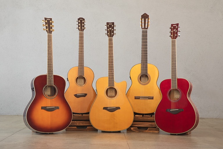 Different Models of Guitars