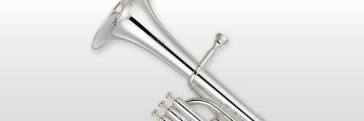Close-up of alto horn