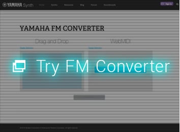 FM Converter