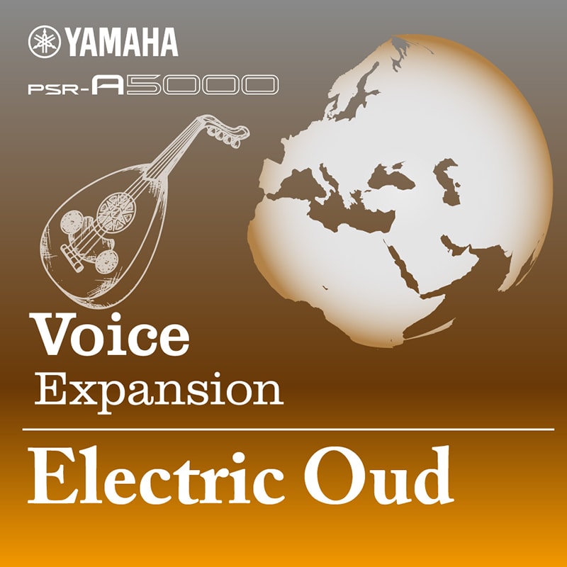Image of Voices & Style Expansion Electric Oud