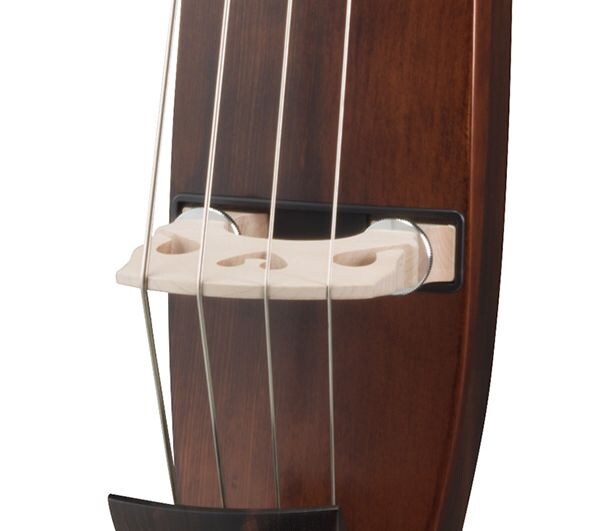 Body Designed for Pure Acoustic Tone