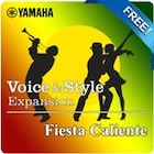 Fiesta Caliente (Yamaha Expansion Manager compatible data)