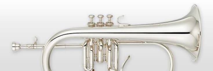 Close-up of flugel horn