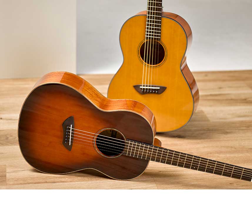 New CSF1 and CSF3 Guitars