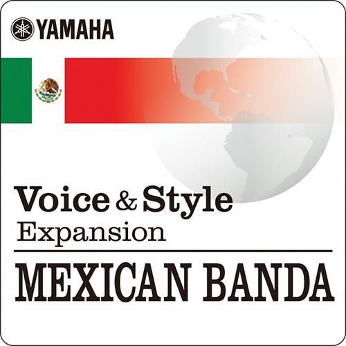 Image of Voices & Style Expansion Mexican Banda