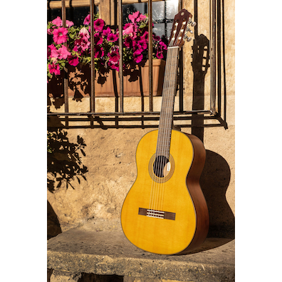 CGX122MC guitar leaning on a rejas with potted flowers on a street in Spain