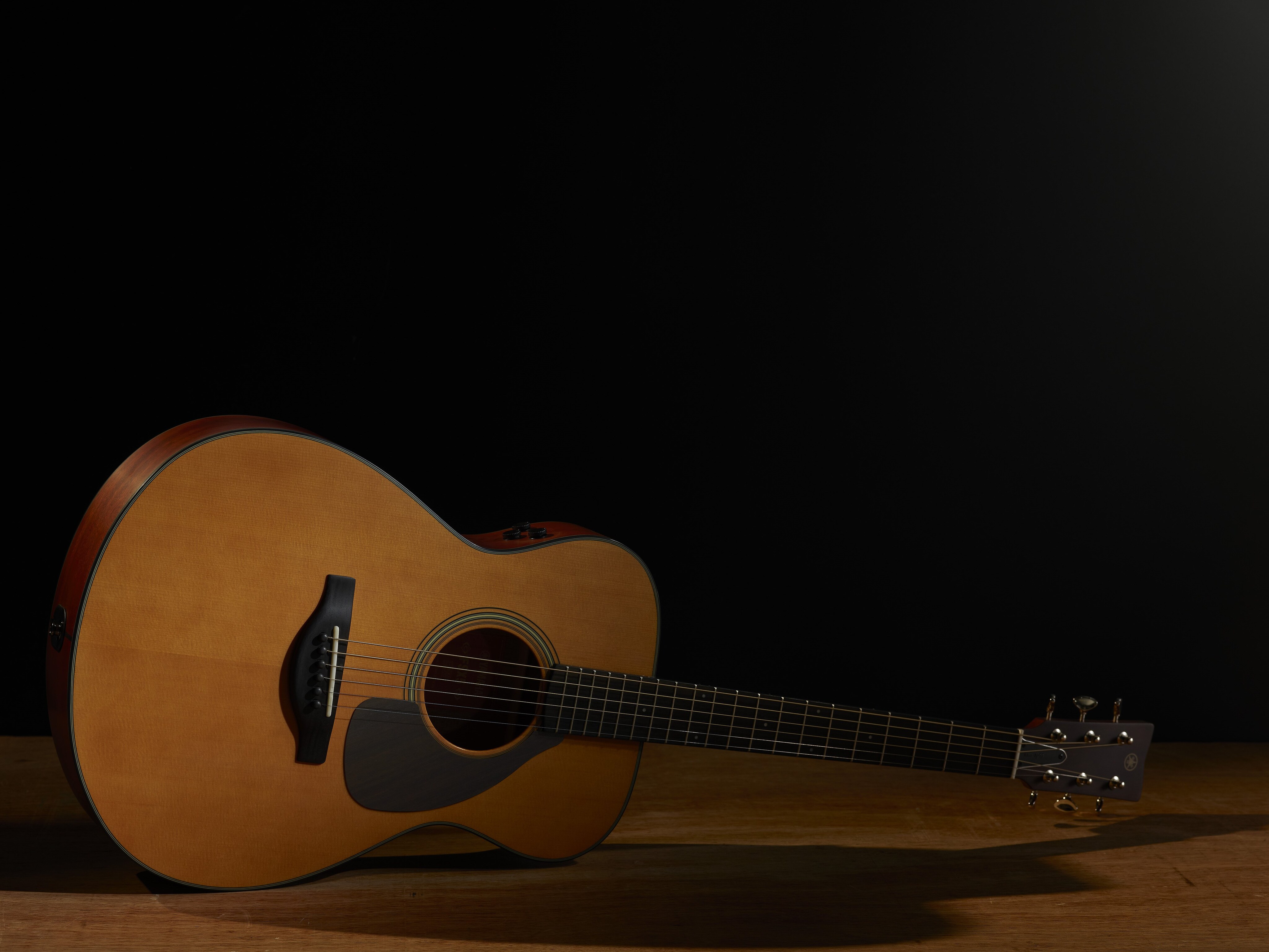FG/FS Red Label - Gallery - FG/FS Series - Acoustic Guitars