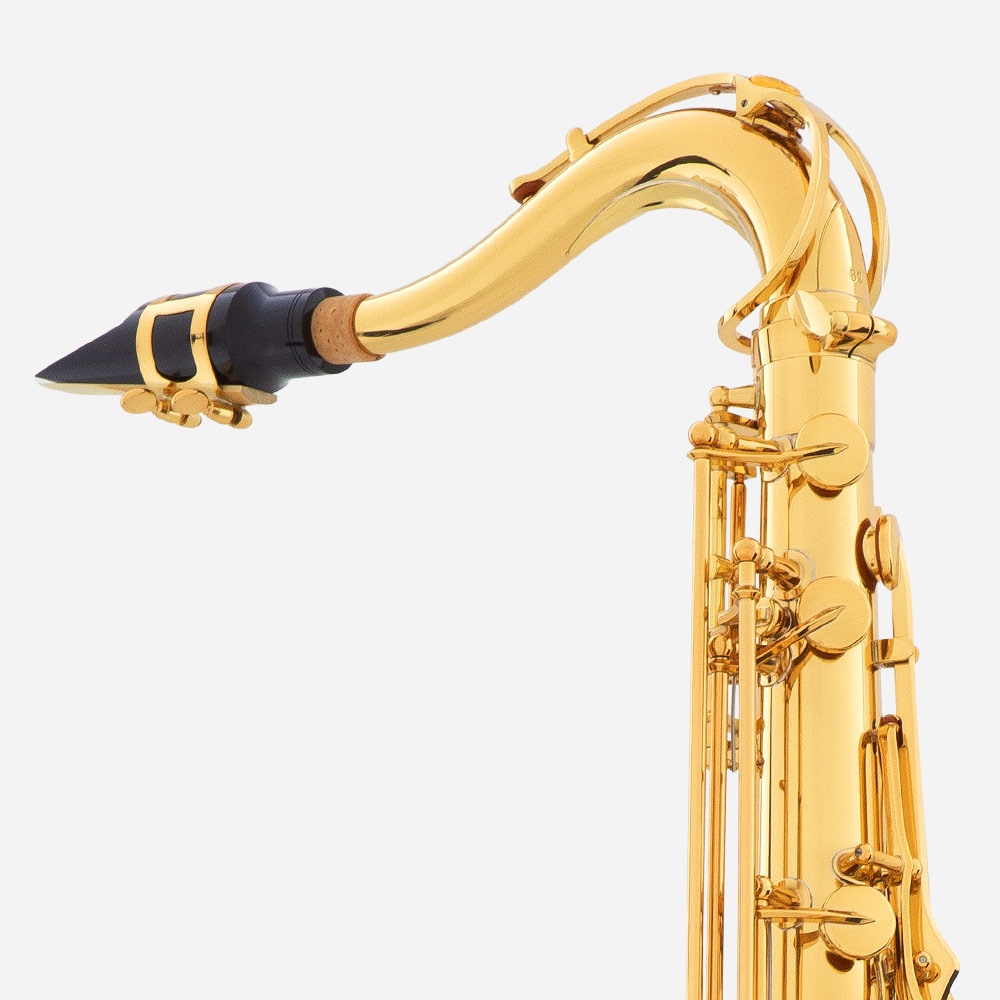 close-up view of Allegro Saxophone Special Features