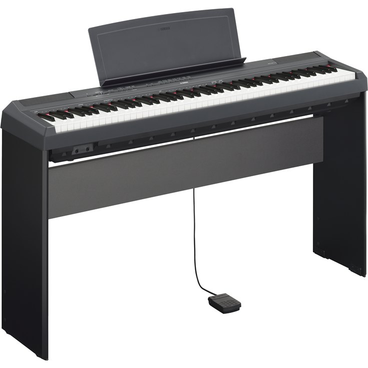 P-115 - Overview - Portables - Pianos - Musical Instruments 
