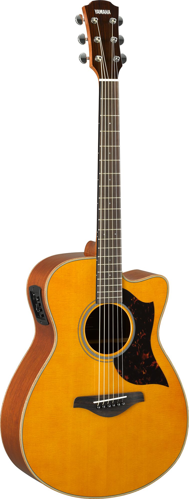 A Series - A1 - Acoustic Guitars - Guitars, Basses & Amps