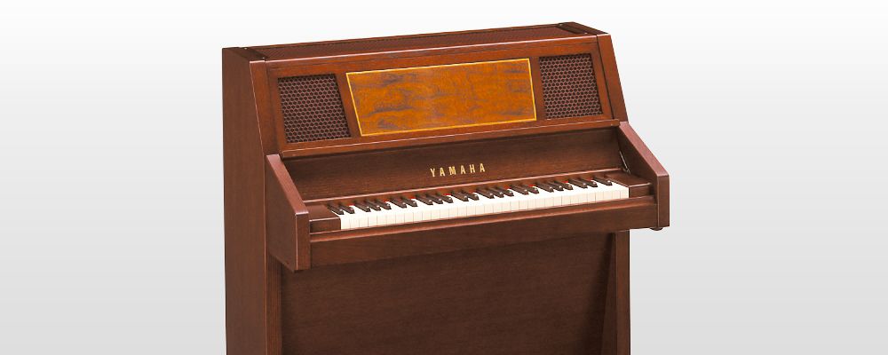 SONSHIBAL×kanayamataisei Sabian 18