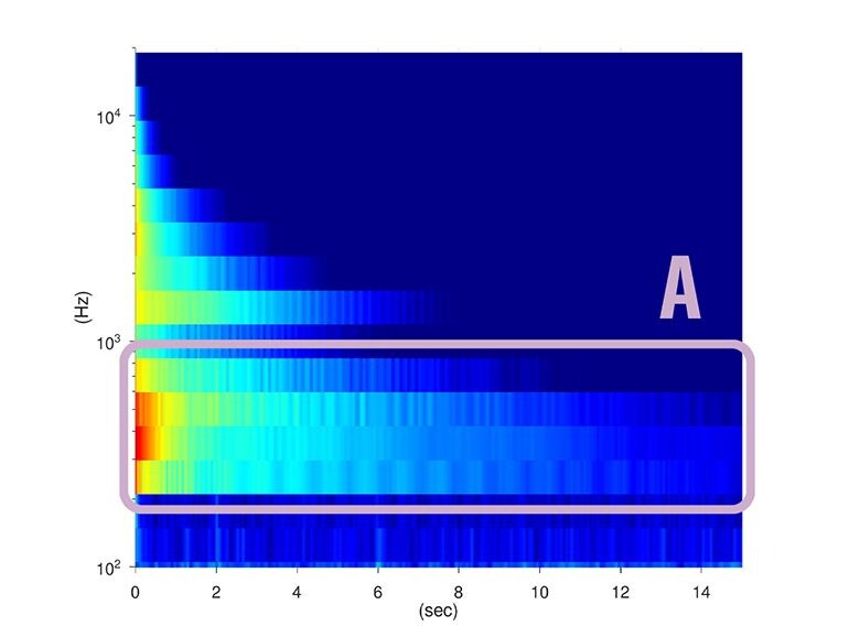 Acoustic characteristics when using SECW washers. Increased low-frequency volume and sustain