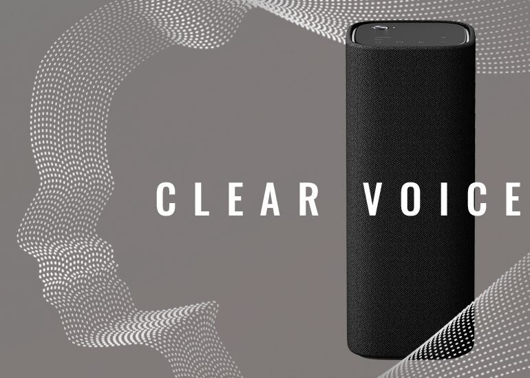 True X speaker with the word Clear Voice