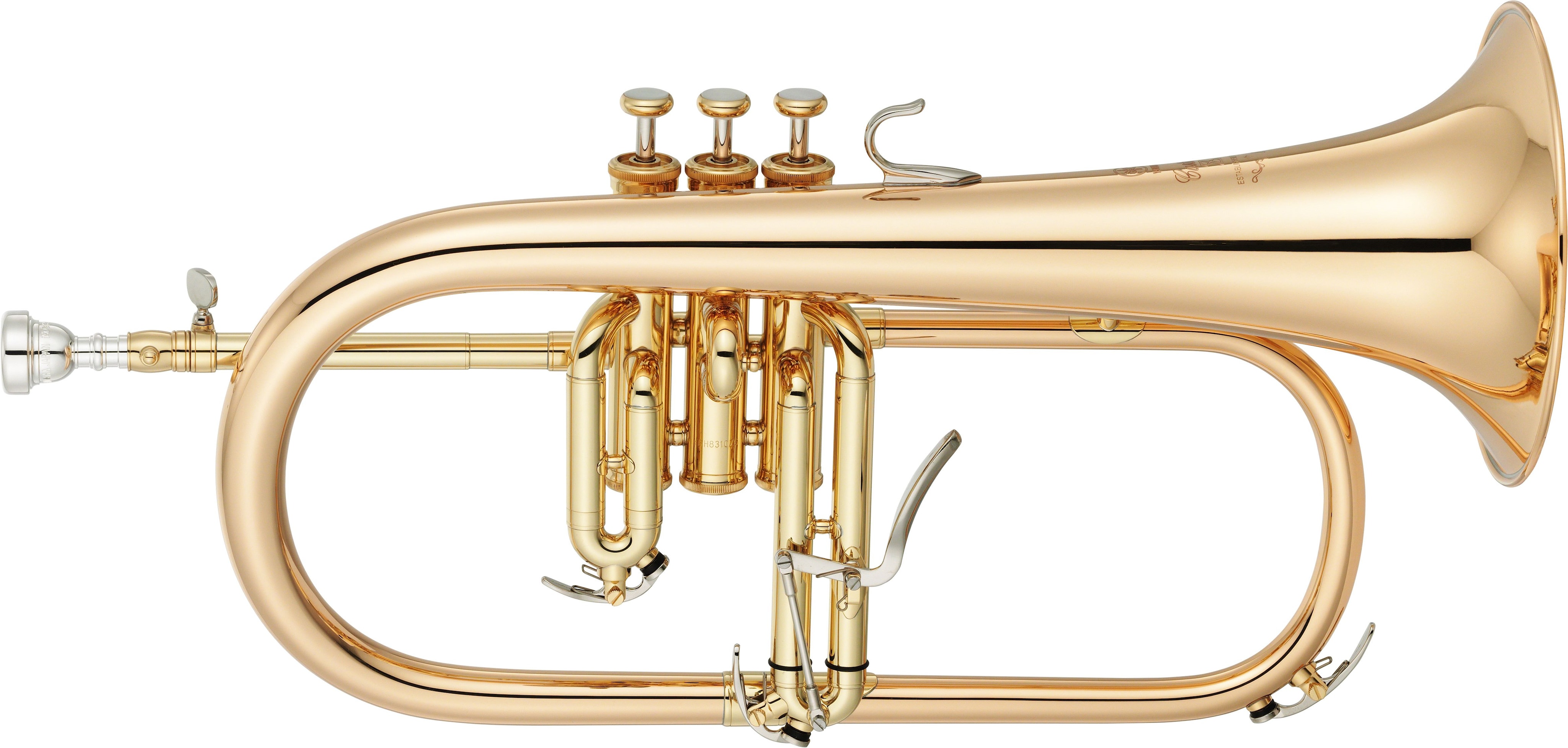 YFH-8310Z - Overview - Flugelhorns - Brass & Woodwinds - Musical  Instruments - Products - Yamaha USA