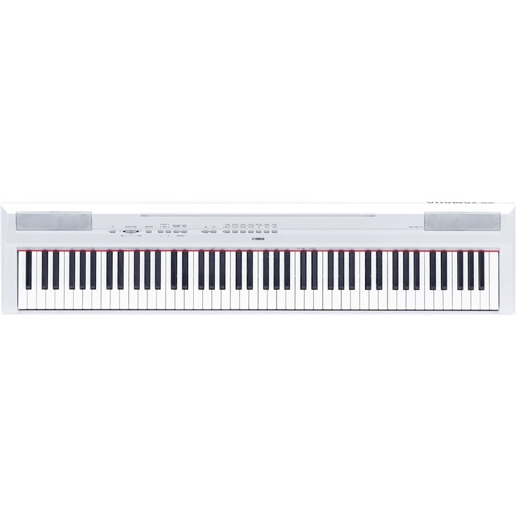 P-115 - Overview - Portables - Pianos - Musical Instruments 