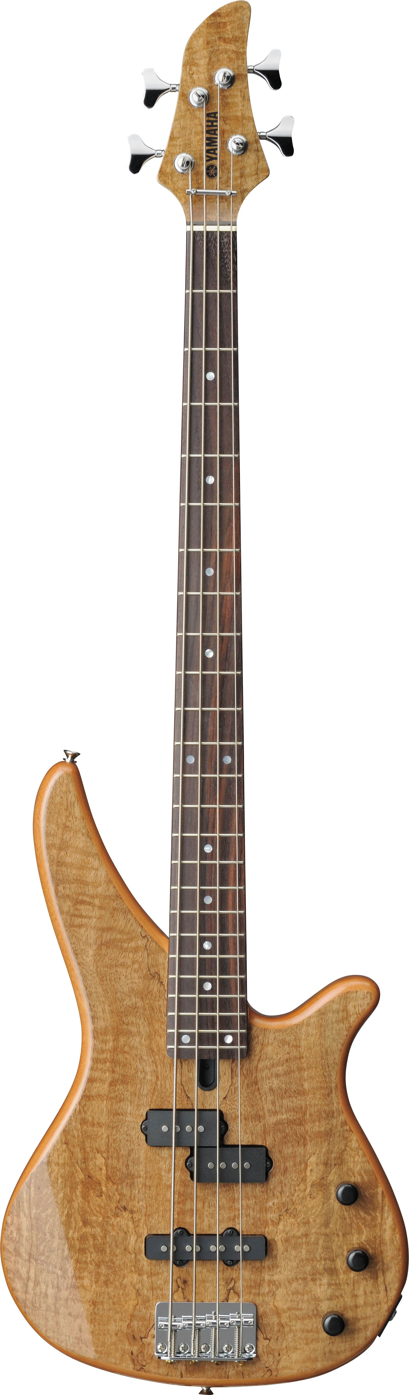 Rbx Series Overview Basses Guitars Basses And Amps Musical Instruments Products