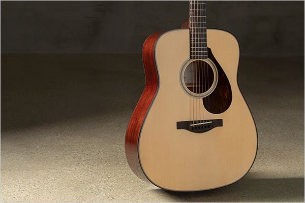 Acoustic Guitar FG9