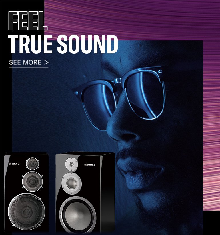 True sound hot sale tower speakers