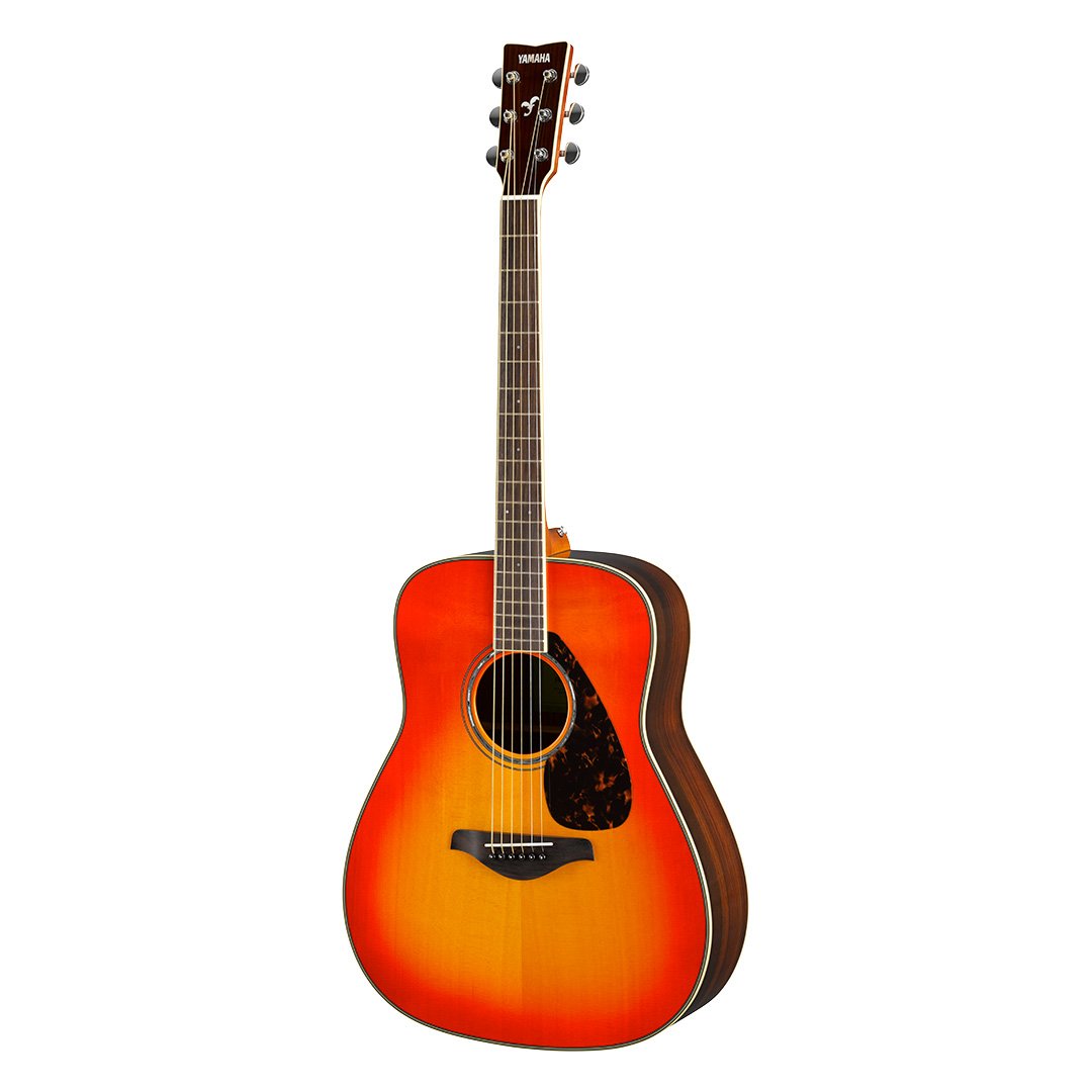 FG / FGX Series - Features - FG Series - Acoustic Guitars 