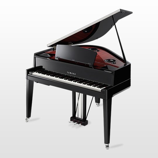 N3X - Overview - AvantGrand - Pianos - Musical Instruments ...