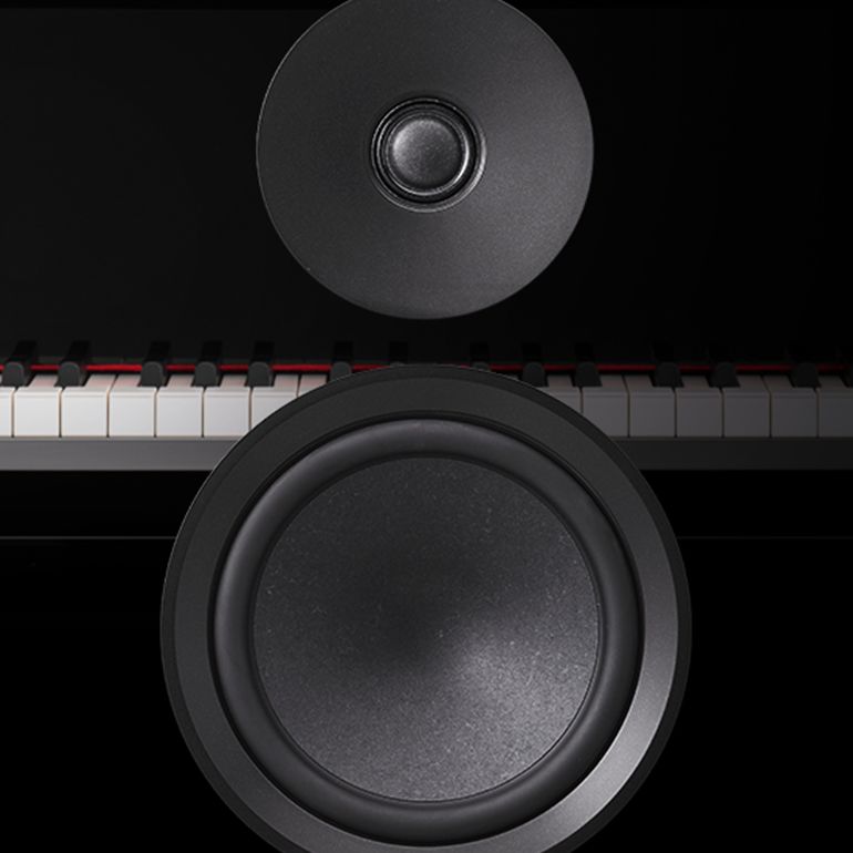 NS-800A Bookshelf Speaker - Yamaha USA