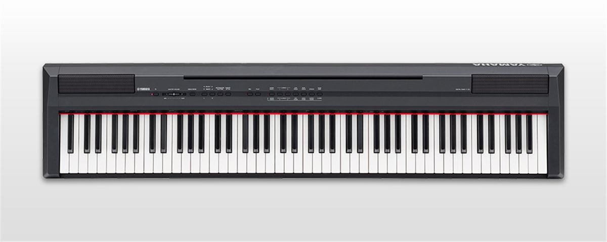 P-105 - Overview - Portables - Pianos - Musical Instruments