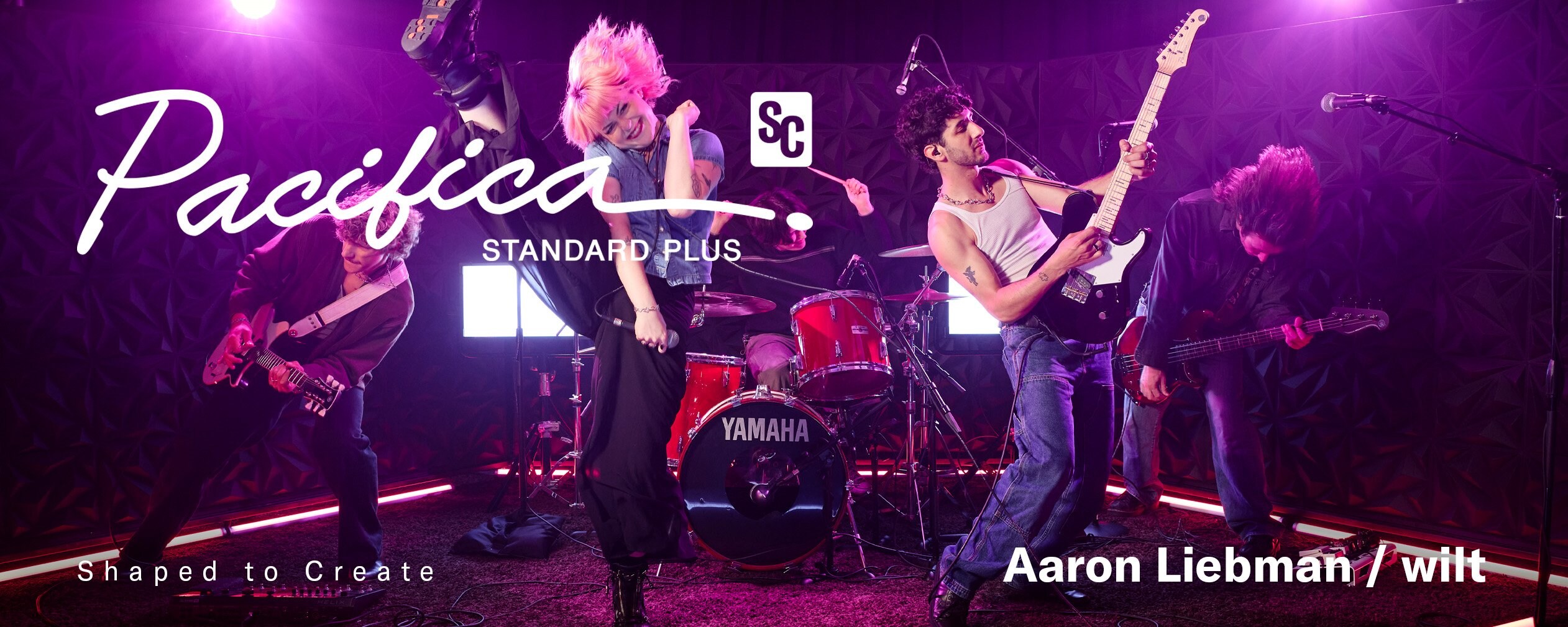 wilt / Aaron Liebman performing on stage with Pacifica SC Standard Plus (PACS+11SM BL)
