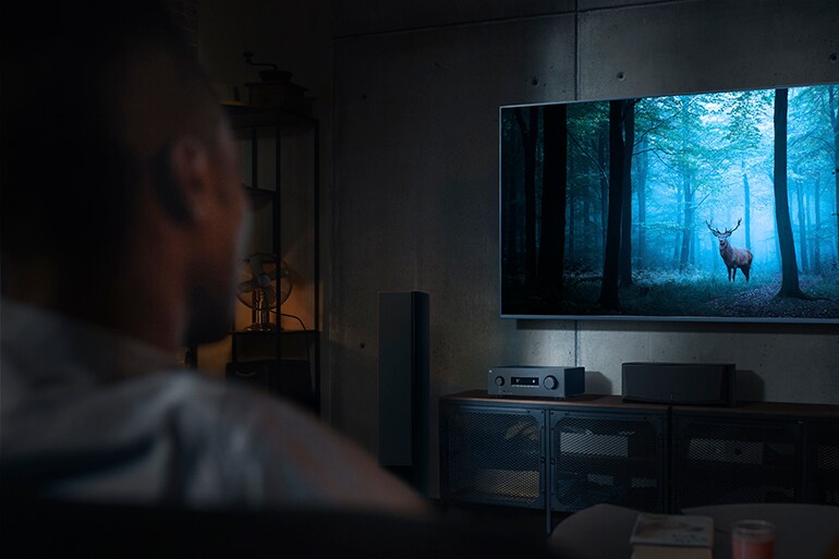The RX500A and a man watching a TV displaying a mystical forest.