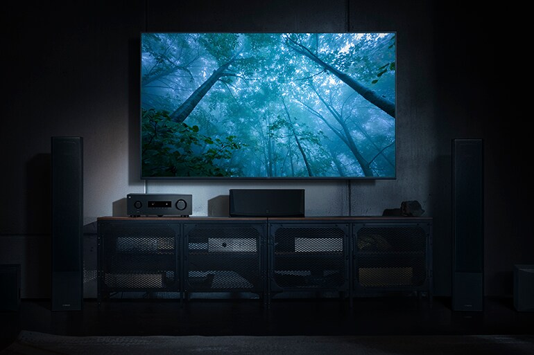 The RX500A and a TV displaying a mystical forest.