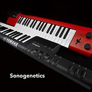 Sonogenetics thumbnail