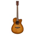 TAS1 C Sand Burst Straight Front