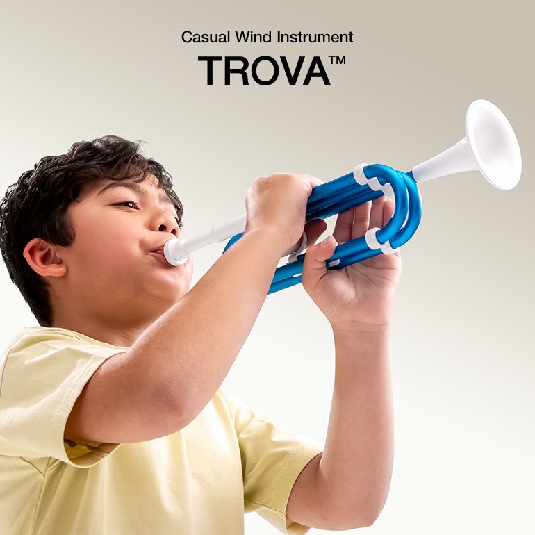Casual Wind Instruments - Brass & Woodwinds - Musical Instruments