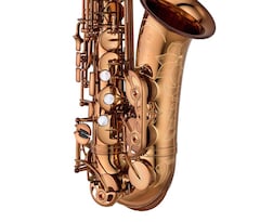 Yamaha Saxophone YAS-82ZA feature image #2
