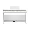 YDP-146_White_front