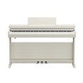 YDP-166_White Birch_front