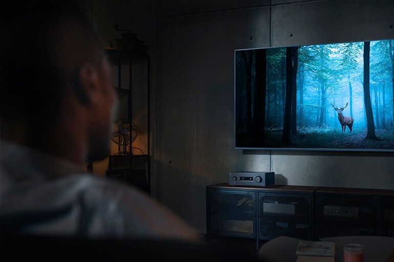 The RX300A and a man watching a TV displaying a mystical forest.