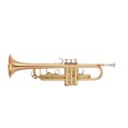 Yamaha Bb Trumpets YTR-8335EA
