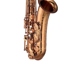 Yamaha Saxophone YTS-82ZA feature image #2