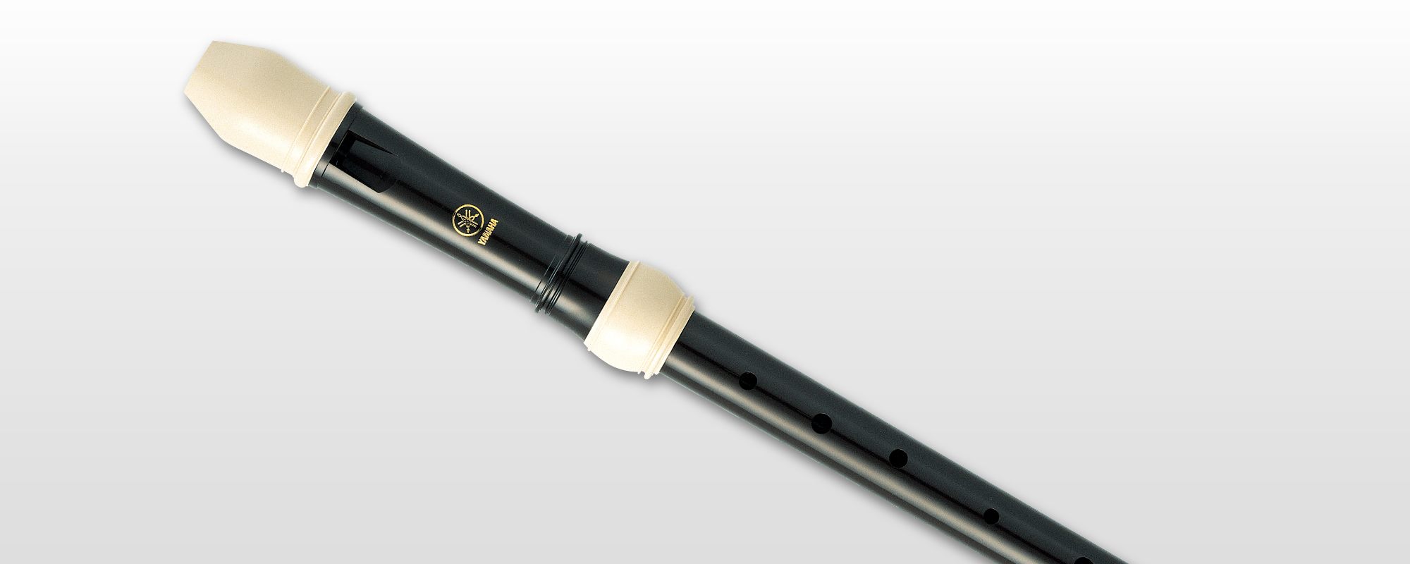 Tenor - Overview - Recorders - Brass & Woodwinds - Musical