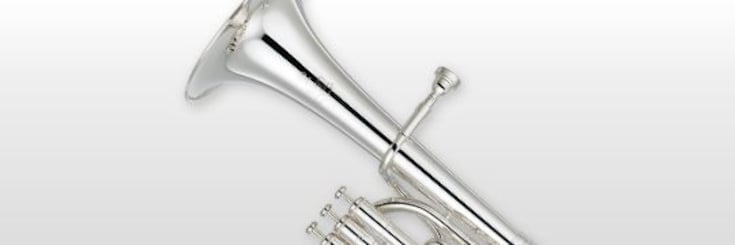 Close-up of alto horn