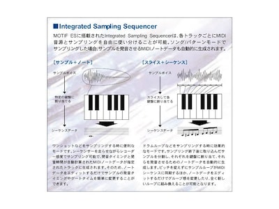 Image of MOTIF catalog