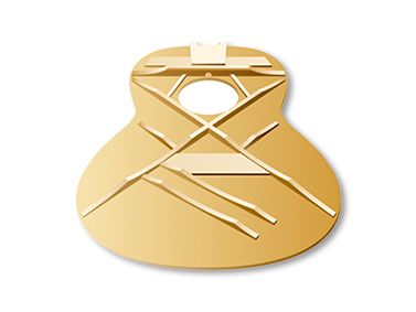 CSF - Features - Acoustic Guitars - Guitars, Basses & Amps