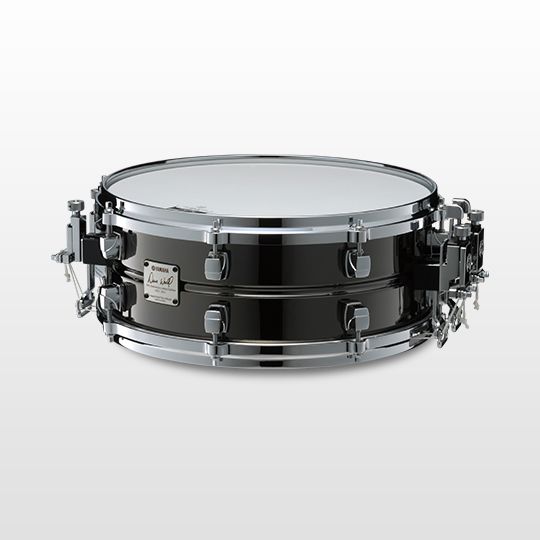 dave_weckl_signature_models_54
