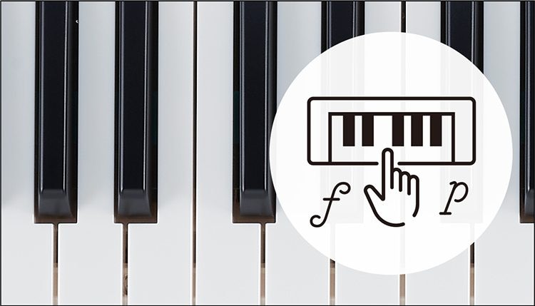 Touch-sensitive keys for expressive dynamic control