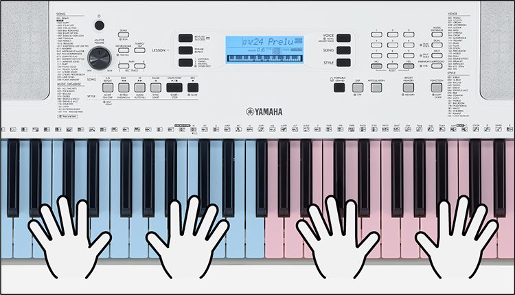EZ-300 Beginners Keyboard with Lighted Keys – Yamaha USA