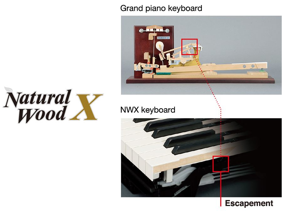 diagram of keyboard mechanics