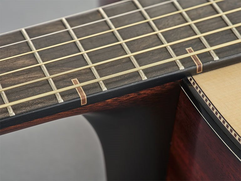 Close-up of Fingerboard wooden inlay